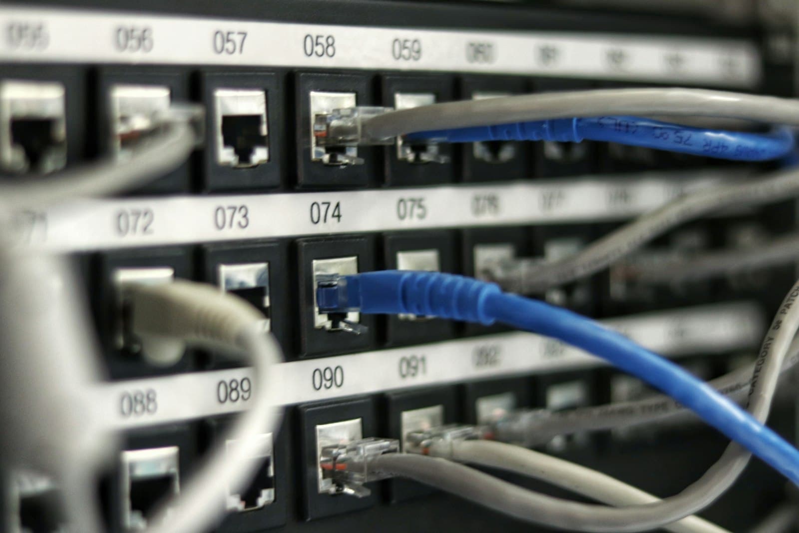 Blue network cables plugged into a patch panel
