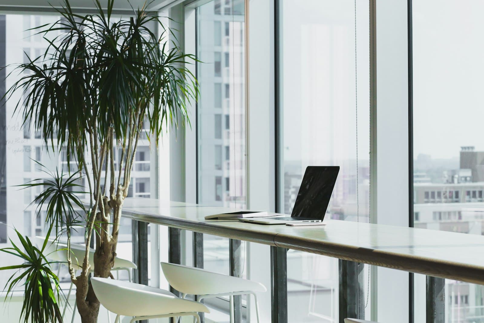 Photo: Alesia Kazantceva, Unsplash A bright office corner with a laptop, plants and large windows
