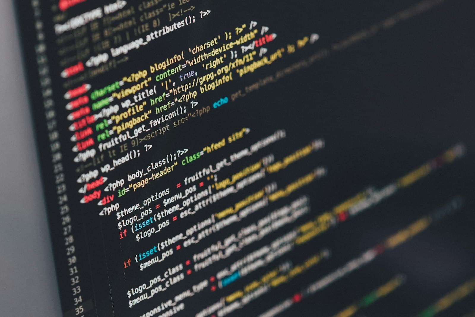Photo: Ilya Pavlov, Unsplash A screen full of source code
